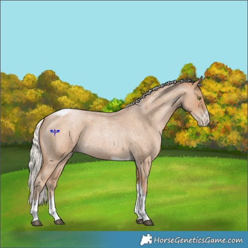 Horse Color:Silver Blue Roan Pearl Tobiano Frame 