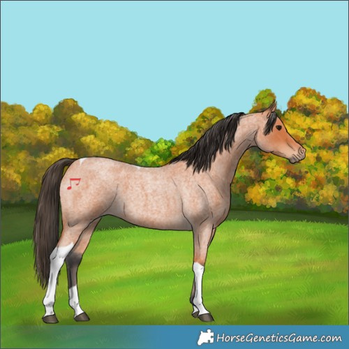 Horse Color:Bay Roan Tobiano 