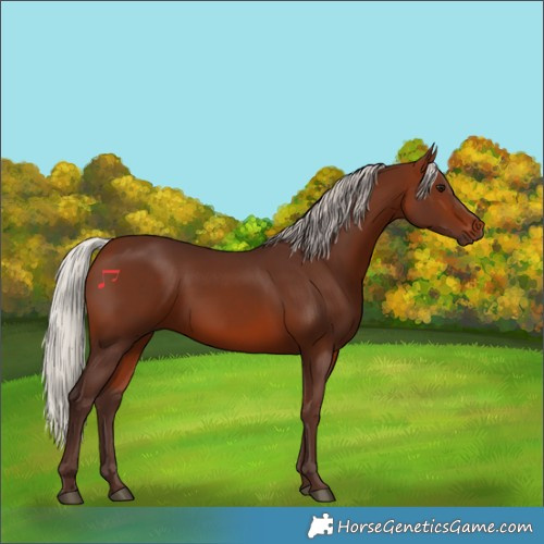 Horse Color:Silver Bay 