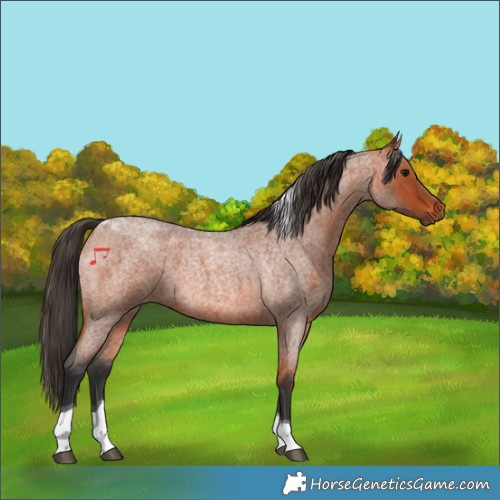 Horse Color:Bay Roan Tobiano 