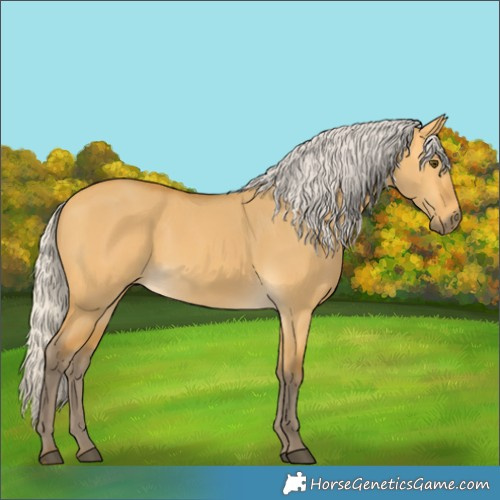 Horse Color:Silver Buckskin Dun 