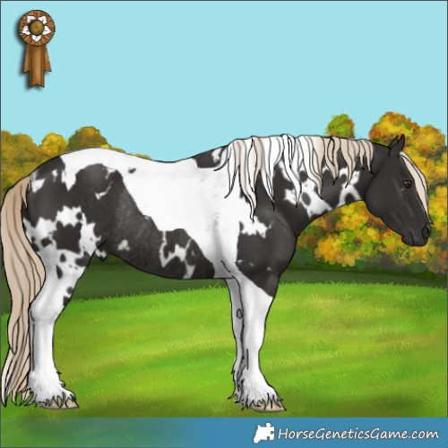 Horse Color:White Spotted Liver Chestnut Tobiano Rabicano 