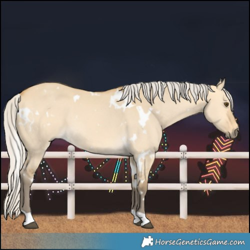 Horse Color:White Spotted Silver Buckskin Dun 