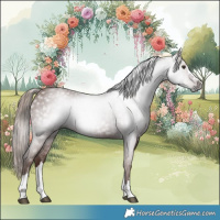 Horse Color:Gray Chestnut 
