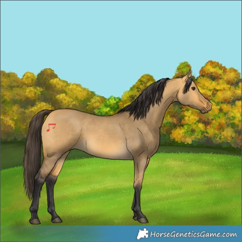 Horse Color:Buckskin Dun 