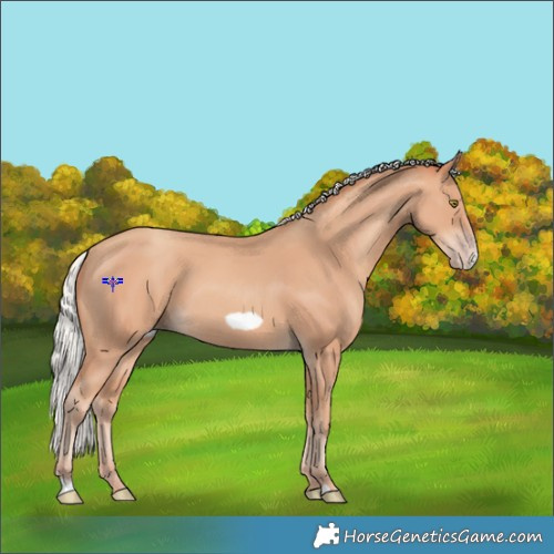 Horse Color:Silver Amber Champagne Frame 
