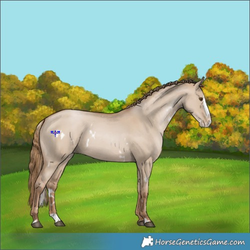 Horse Color:White Spotted Grullo Pearl Splash 
