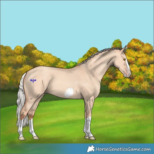 Horse Color:Silver Classic Champagne Dun Splash Frame 