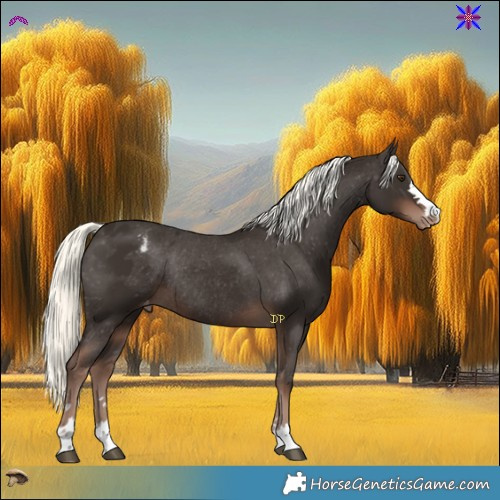 Horse Color:Liver Chestnut Mushroom Varnish Rabicano 