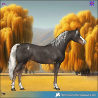 Horse Color:Liver Chestnut Mushroom Varnish Rabicano 