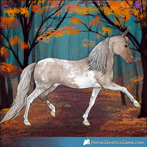 Horse Color:Silver Blue Roan Tobiano