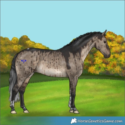 Horse Color:Brown Dun Tobiano Brindle 