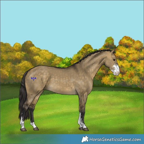 Horse Color:Buckskin Dun Sabino 