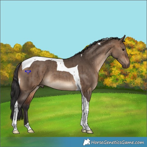 Horse Color:Brown Dun Tobiano Brindle 