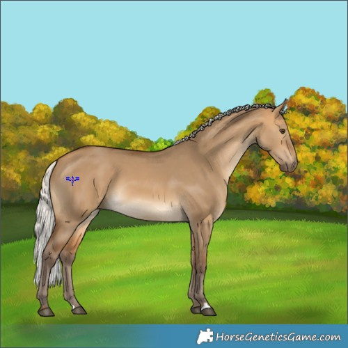 Horse Color:Silver Buckskin Dun 