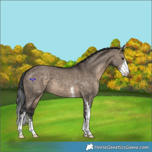 Horse Color:Brown Dun Sabino 