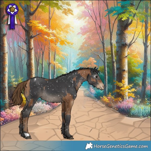 Horse Color:Gray Black Pearl Appaloosa and Black Appaloosa