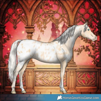 Horse Color:White Spotted Silver Buckskin Pearl Blanket Rabicano