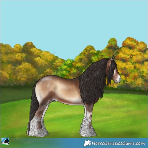 Horse Color:Liver Red Onyx Sabino Rabicano 
