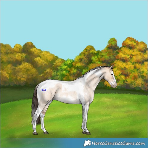 Horse Color:Bay Roan Dun Splash Tobiano Frame Rabicano 