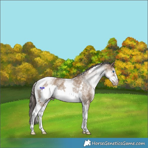 Horse Color:White Spotted Classic Champagne Tobiano Frame 
