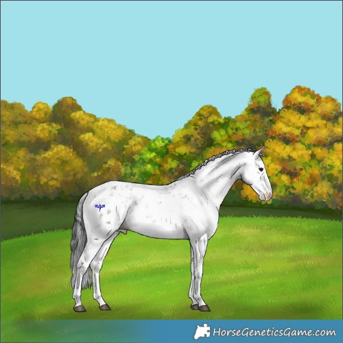 Horse Color:Smoky Grullo Sabino Rabicano 