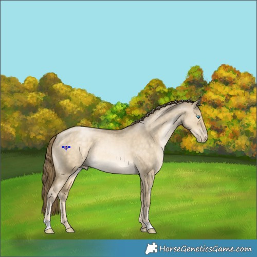 Horse Color:Buckskin Pearl Dun 