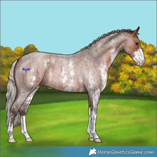 Horse Color:Silver Brown Roan Sabino 
