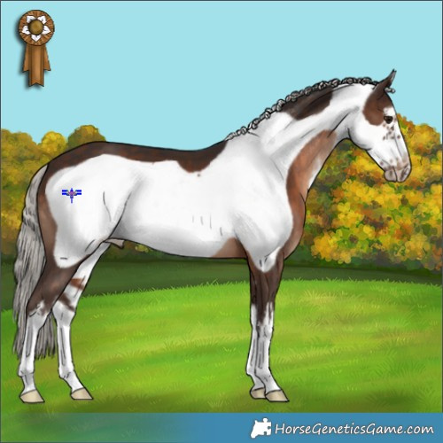 Horse Color:White Spotted Silver Brown Frame 
