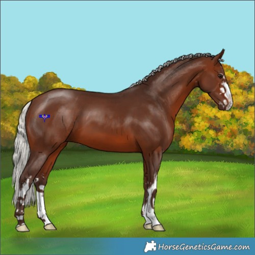 Horse Color:White Spotted Silver Brown 