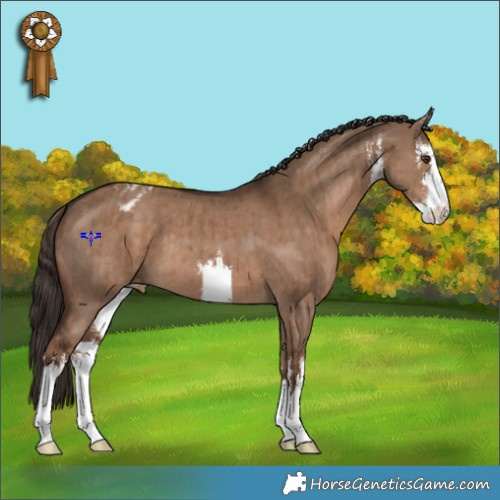 Horse Color:White Spotted Liver Red Dun Appaloosa Brindle 