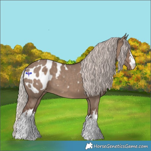 Horse Color:White Spotted Silver Grullo Blanket 