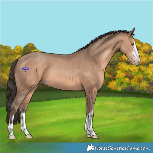 Horse Color:Sable Champagne 