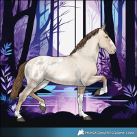 Horse Color:Liver Red Dun Roan Pearl Tobiano Frame Appaloosa