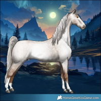 Horse Color:Gray Silver Blue Roan Pearl Tobiano Frame 
