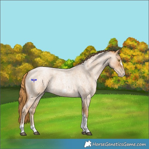Horse Color:Red Roan Pearl Tobiano Frame 