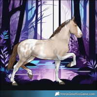 Horse Color:Liver Red Dun Roan Pearl Tobiano Frame Appaloosa