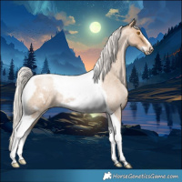 Horse Color:Silver Blue Roan Pearl Tobiano Frame 