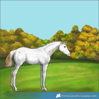 Horse Color:Chestnut Ice Sabino Splash Tobiano Varnish 