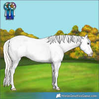 Horse Color:Silver Bay Ice Dun Splash Tobiano Varnish Rabicano 
