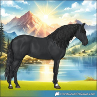 Horse Color:Black 