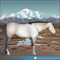 Horse Color:Gray Amber Champagne Dun 