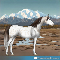 Horse Color:Bay Roan Dun Splash Blanket Rabicano 