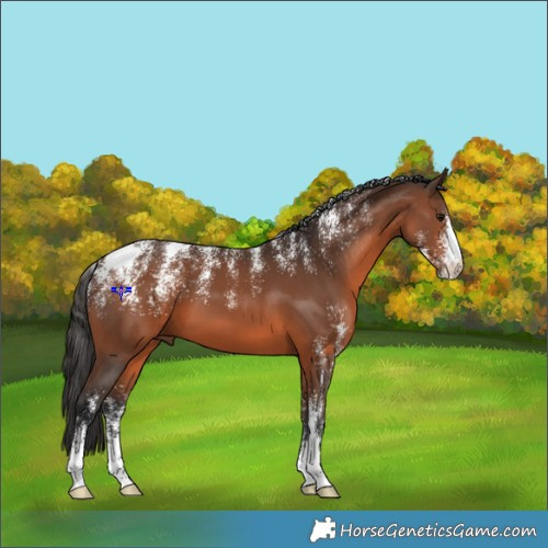 Horse Color:Powder White Brown  and Powder White Brown 