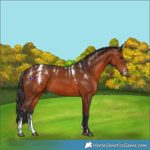 Horse Color:Powder White Brown 
