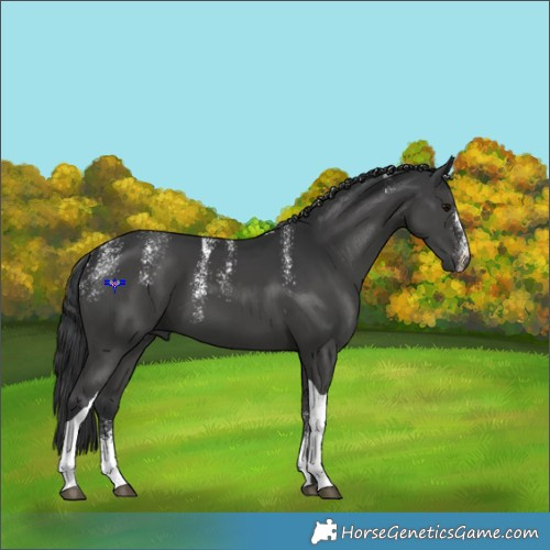 Horse Color:Powder White Black Tobiano 