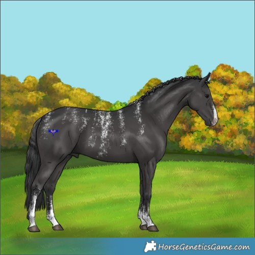 Horse Color:Powder White Black 