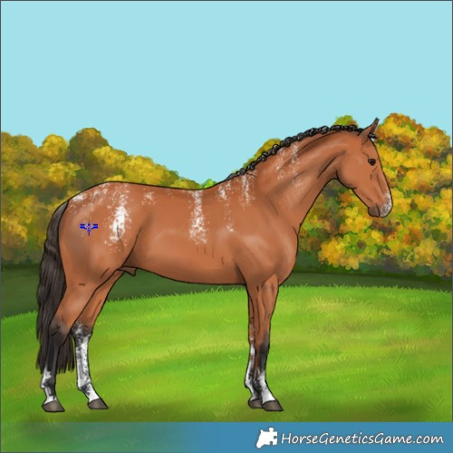 Horse Color:Powder White Bay 