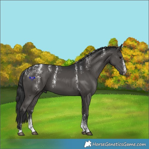 Horse Color:Powder White Black 