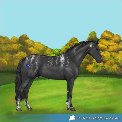 Horse Color:Powder White Black Rabicano 